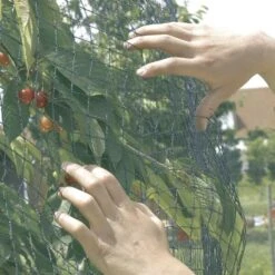 Vogelnet Beschermnet - Pronet 5 × 12 M