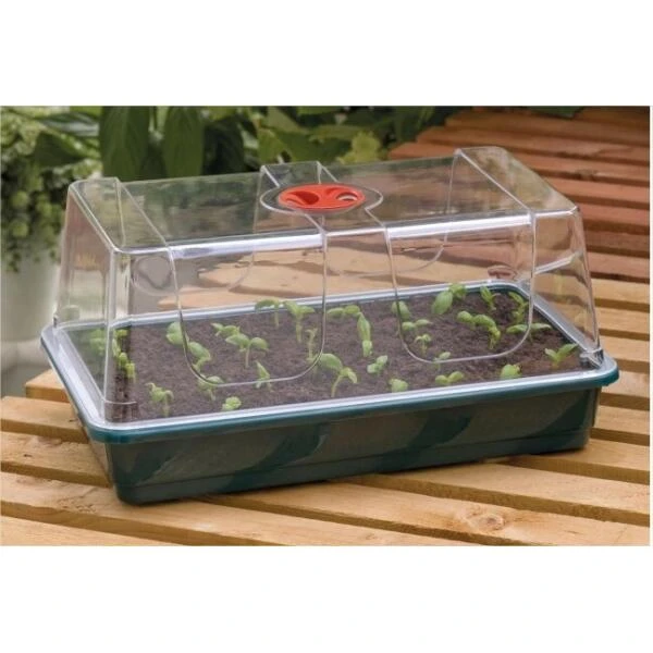 Zaaibakje Met Deksel 37,5 × 23,5 × 18 Cm 1 Zaaibakje Met Deksel 37,5 × 23,5 × 18 Cm