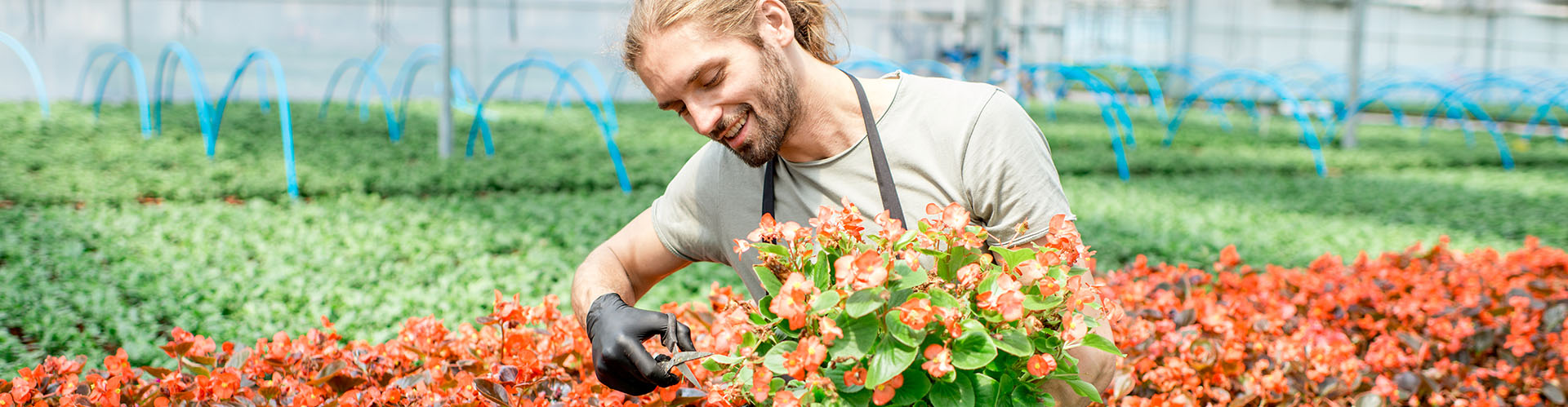 Tuinadvies Verkoop -Tuinadvies Verkoop Produkte Headerbild Kultursysteme
