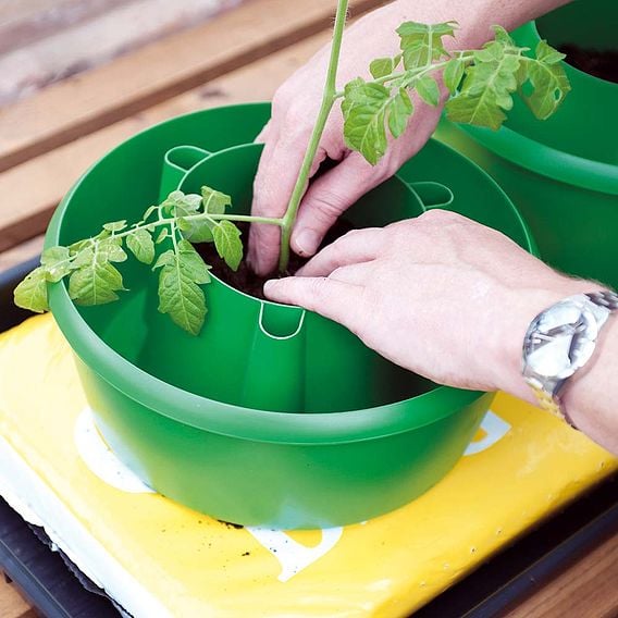 Tuinadvies Verkoop -Tuinadvies Verkoop SUHAL26216